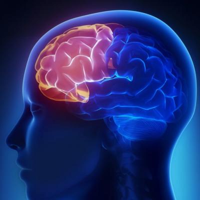 What is Neuro-Logix?